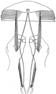 02.jpg
